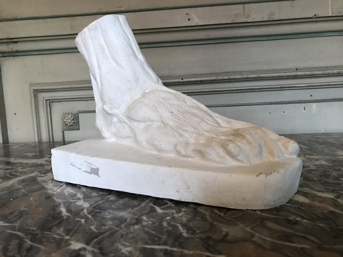 Plaster Cut Foot From écorché -photo-2