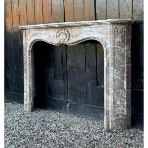 Regency Fireplace In Grey Ardennes Marble, 18th Century