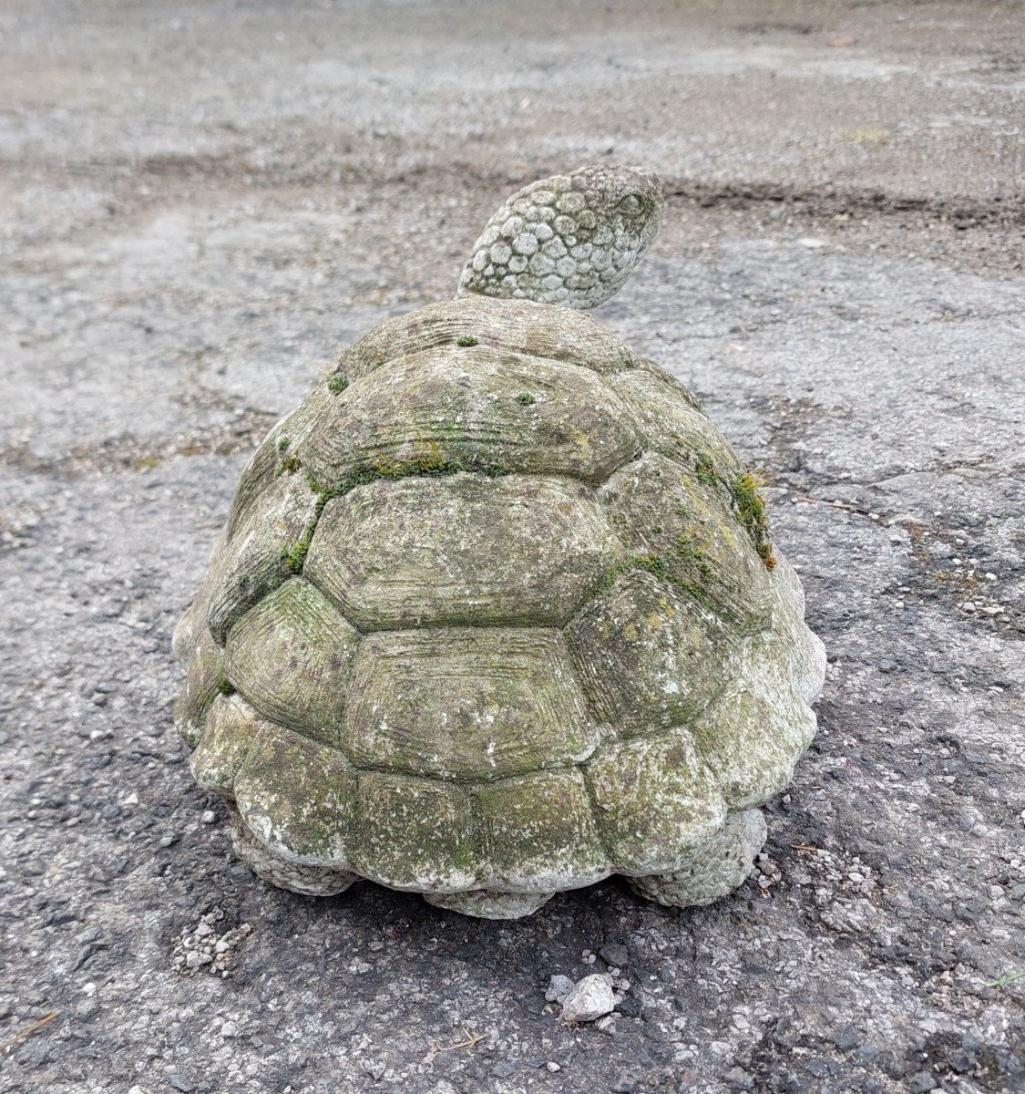 Cement Turtle Circa 1950-photo-4