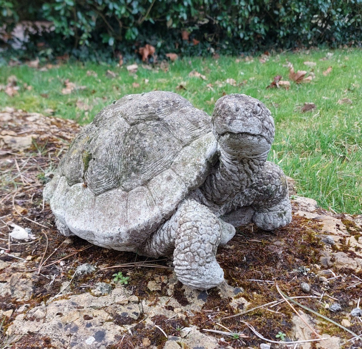 Cement Turtle Circa 1950-photo-2