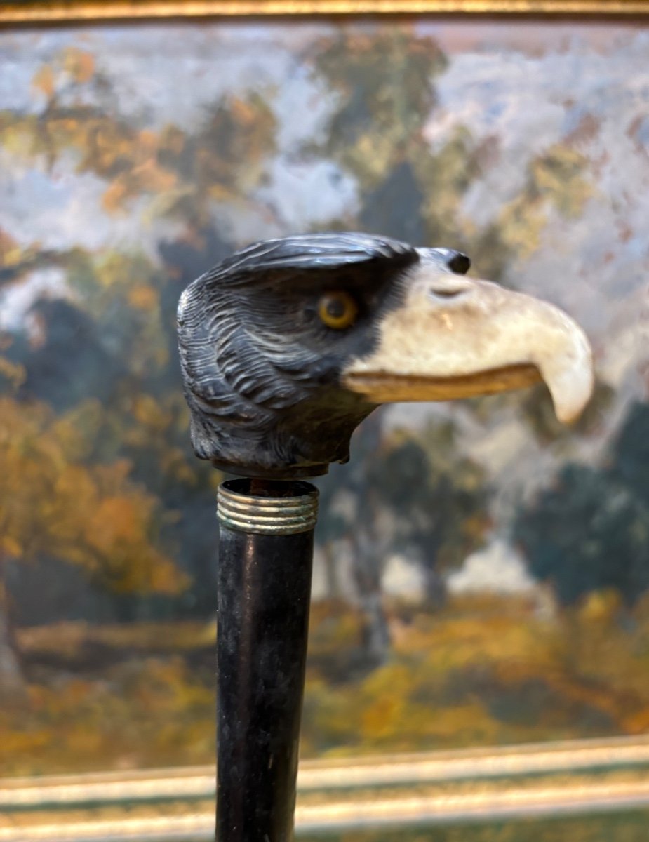 Ancien Manche De Canne Ou Ombrelle à Tête D Aigle Pygargue Américain Epoque XIXe