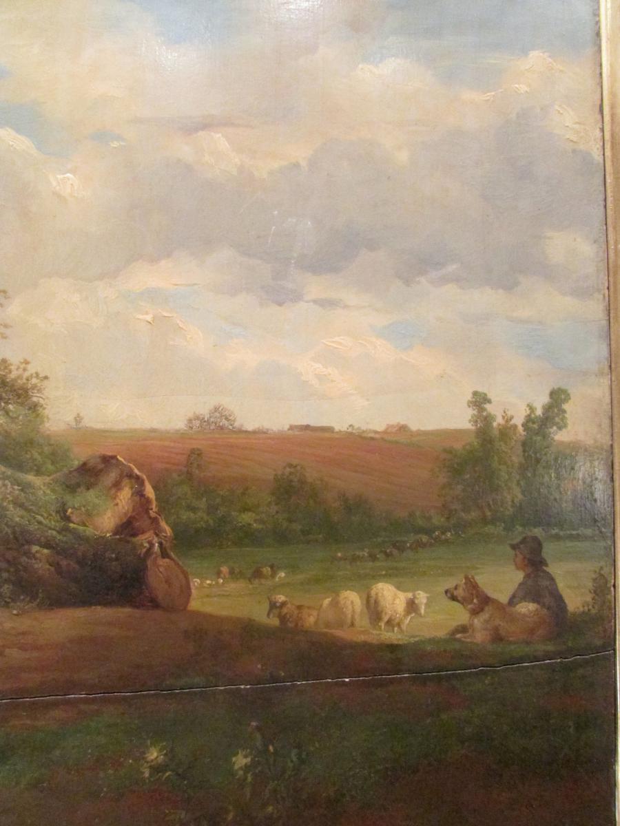 Big Picture Oil On Wood Brascassat 1852 XIX Barbizon School Mouton-photo-2