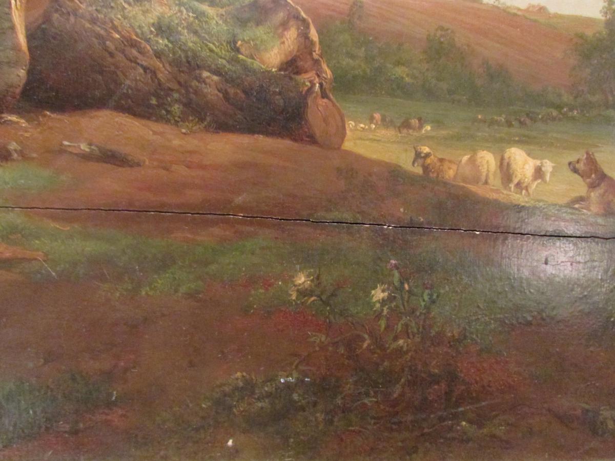 Big Picture Oil On Wood Brascassat 1852 XIX Barbizon School Mouton-photo-4