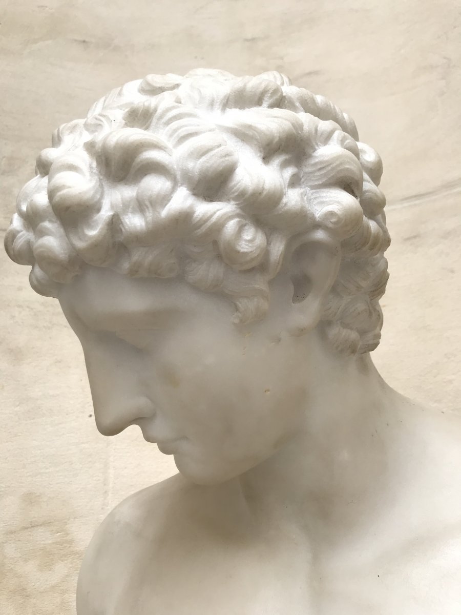 Bust Of Antinous Marble-photo-2