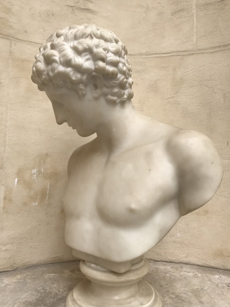 Bust Of Antinous Marble-photo-4