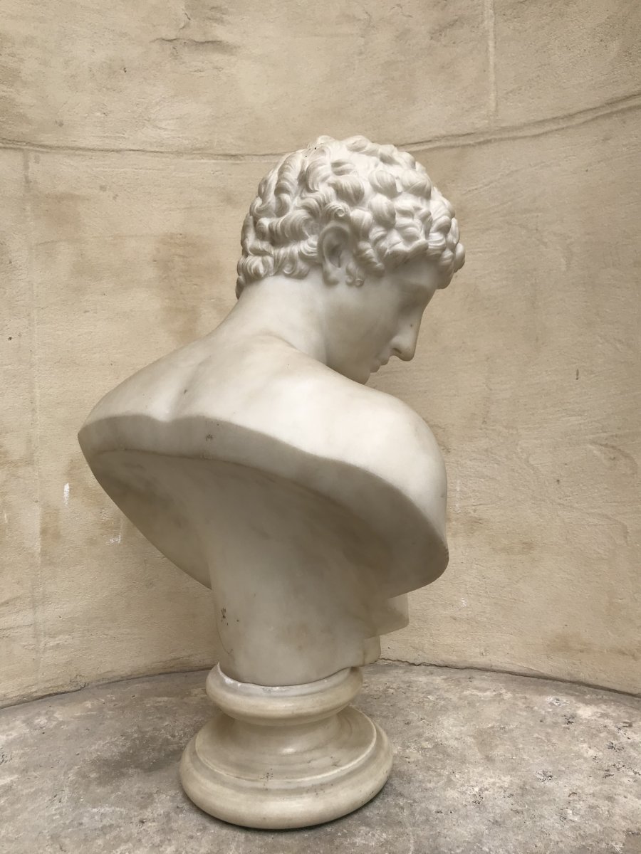 Bust Of Antinous Marble-photo-1