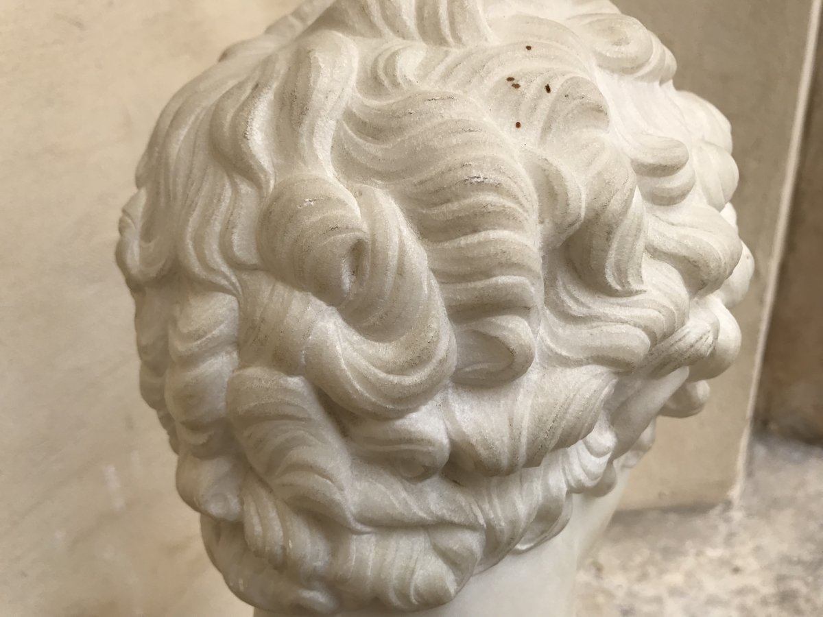 Bust Of Antinous Marble-photo-6