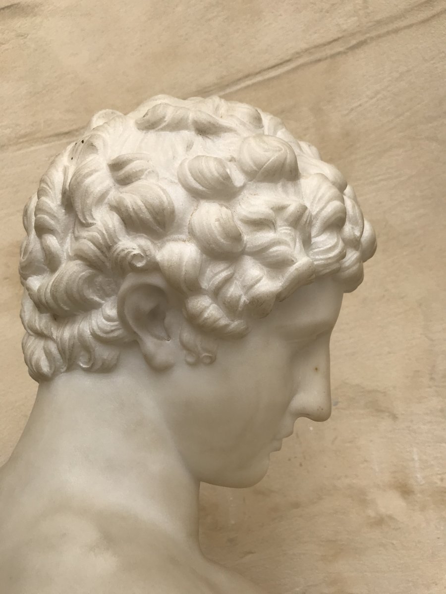 Bust Of Antinous Marble-photo-7