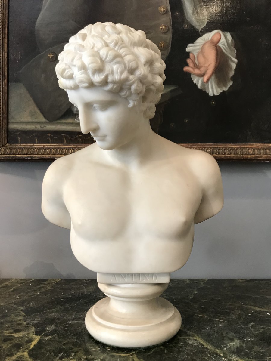 Bust Of Antinous Marble-photo-8