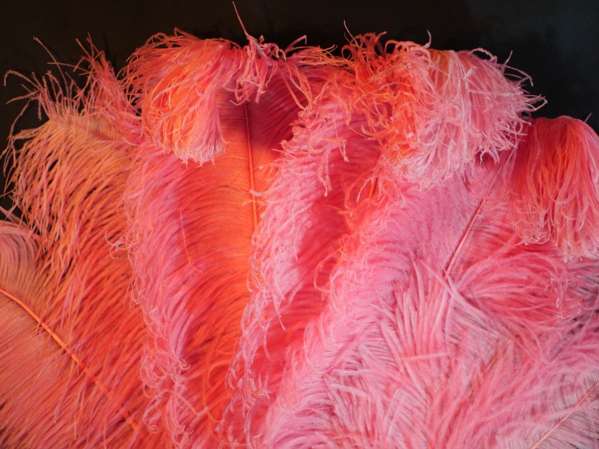 Erotica Demi-mondaine Fan With Pink Ostrich Feathers And Imitation Tortoiseshell Strands  -photo-1