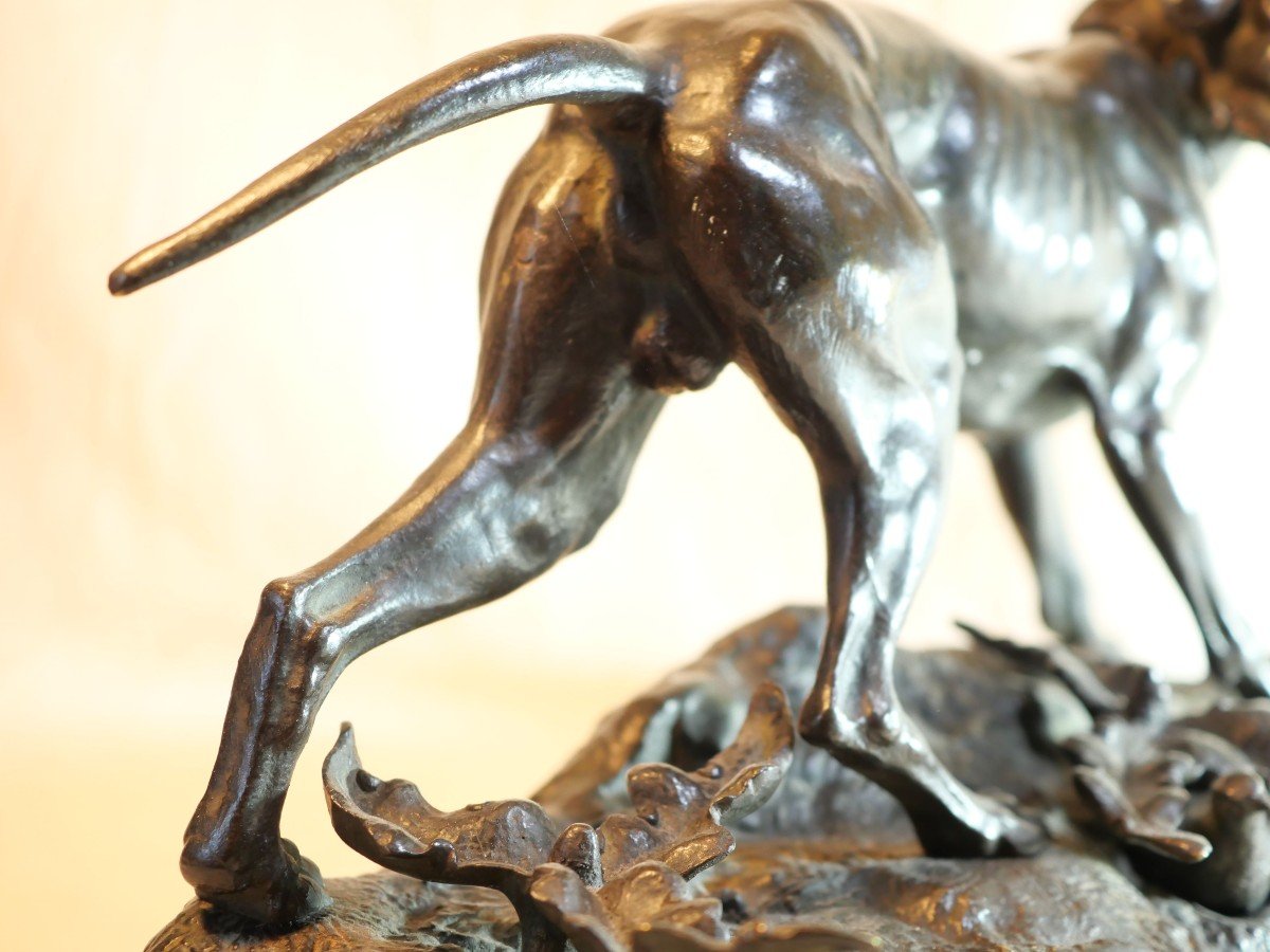 English Pointer Hunting Dog In Bronze Signed Jules Moigniez With Small Partridge Bea24bzm001 -photo-3