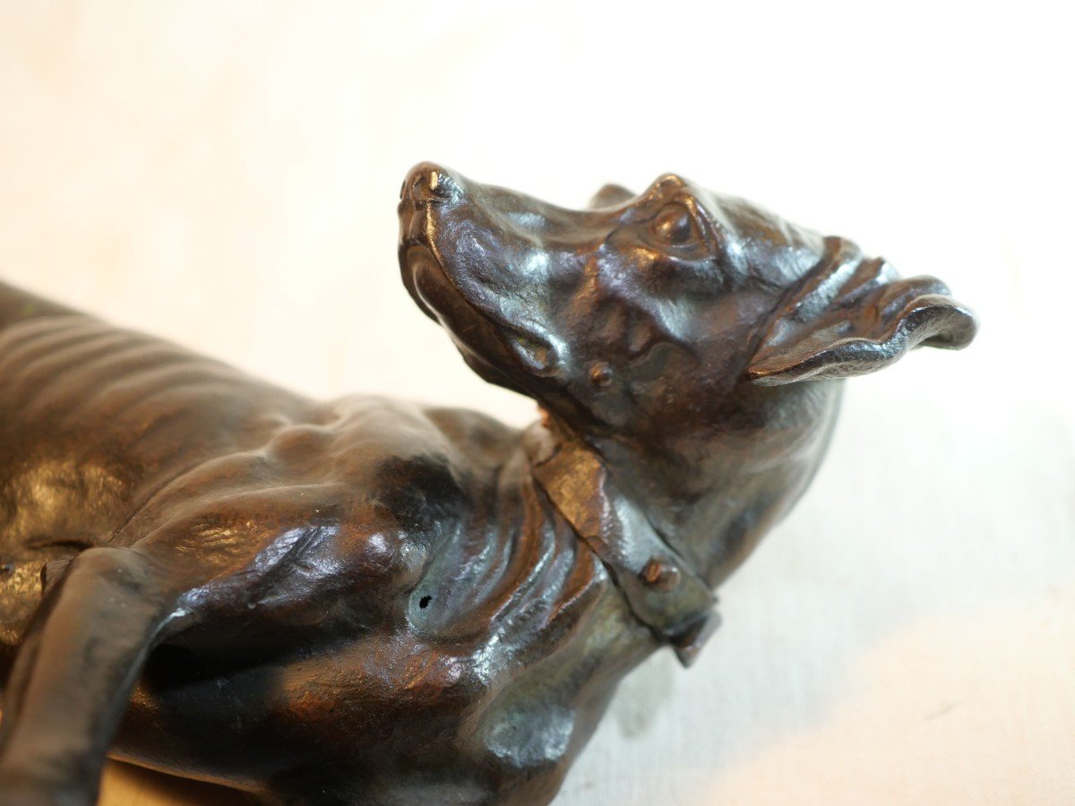 English Pointer Hunting Dog In Bronze Signed Jules Moigniez With Small Partridge Bea24bzm001 -photo-7