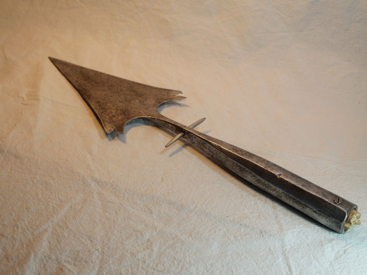 Iron Halberd Or Lance From The 15th Or 16th Century (wrought Iron Work) Sdb20lan001-photo-8