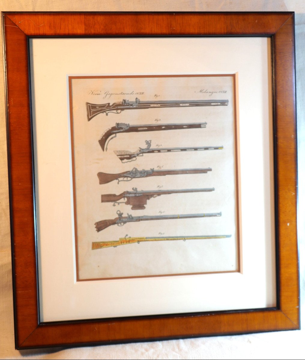 Antique Weapons - German Arquebuses Engraving Professional Framing Lbv24cad006