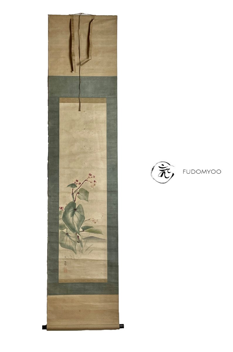 Kakemono Plante Liseron Japonais-photo-2