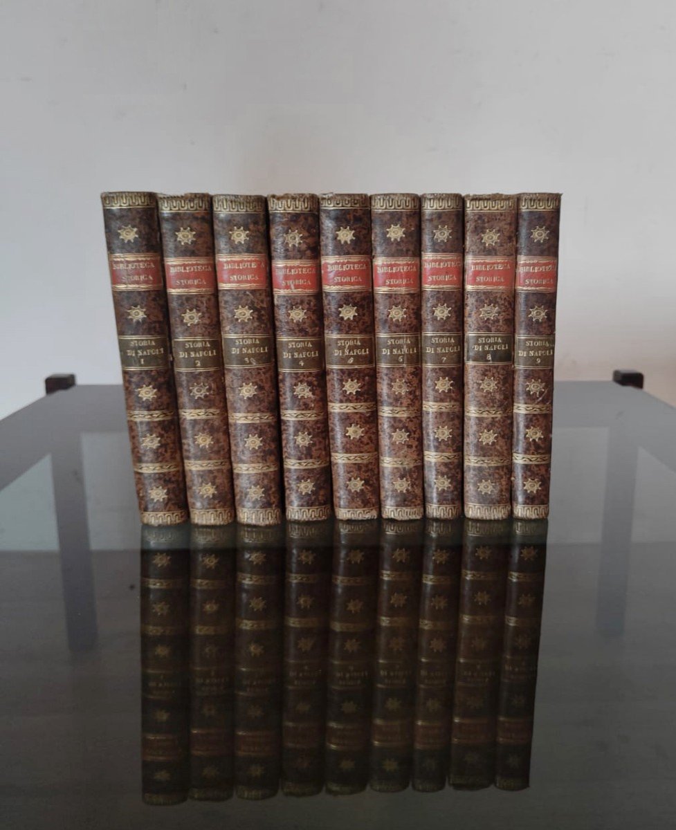 9 Volumes De "l'histoire De Naples" - édition 1821