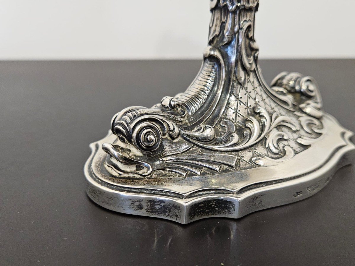 Nautilus In Embossed Silver - Early 1900s-photo-3