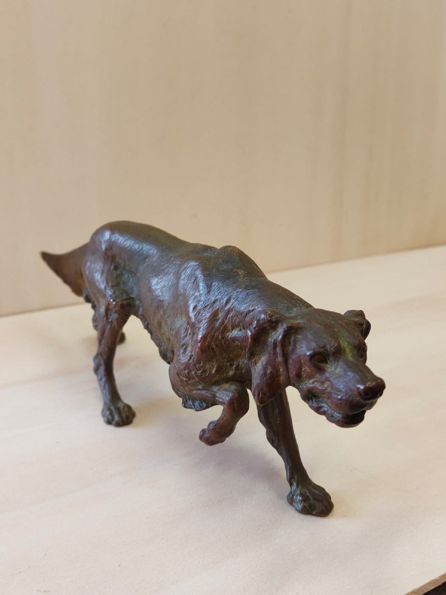 Bronze Depicting A Setter Dog, Franz Bergman - Austria 19th Century-photo-2