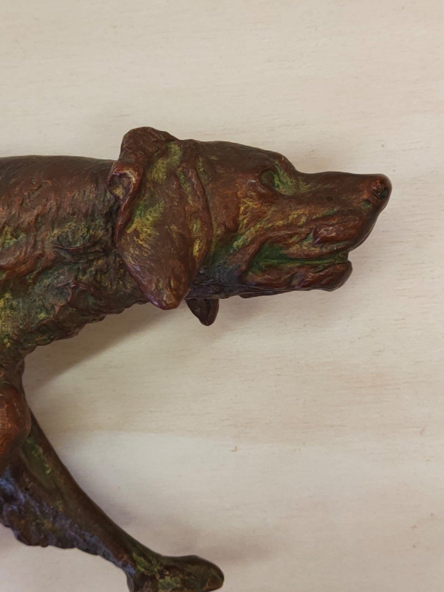 Bronze Depicting A Setter Dog, Franz Bergman - Austria 19th Century-photo-3