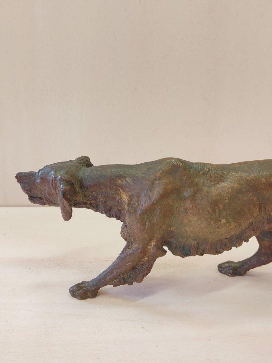 Bronze Depicting A Setter Dog, Franz Bergman - Austria 19th Century-photo-7