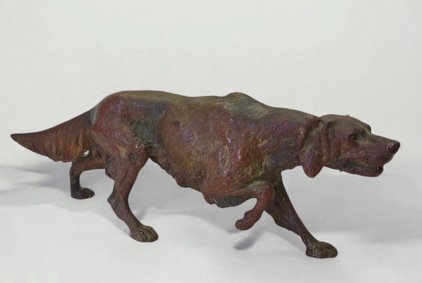 Bronze Depicting A Setter Dog, Franz Bergman - Austria 19th Century