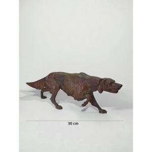 Bronze Depicting A Setter Dog, Franz Bergman - Austria 19th Century