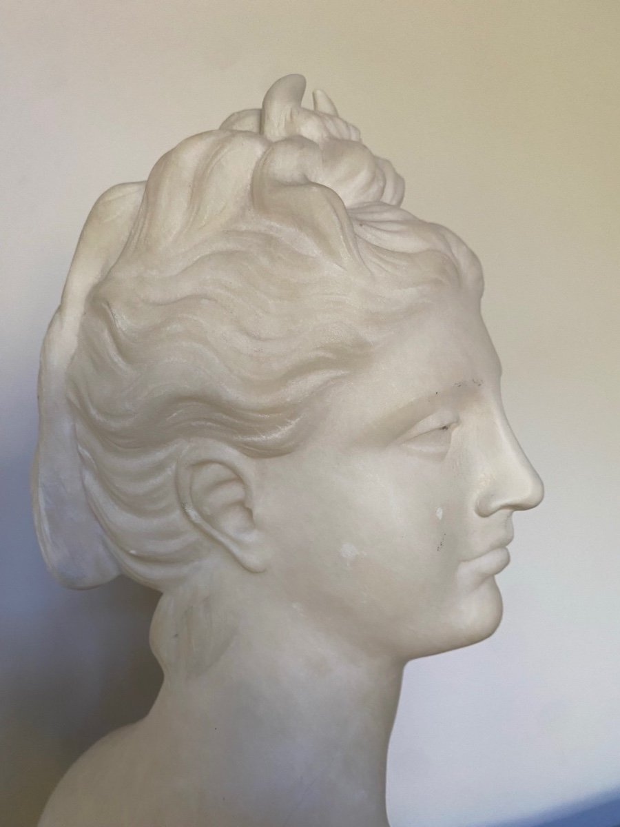 Marble Bust. Diana Goddess Of The Hunt. 19th Century.-photo-2