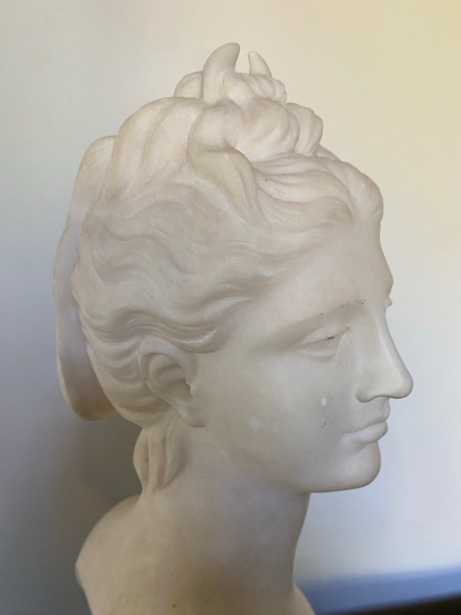 Marble Bust. Diana Goddess Of The Hunt. 19th Century.-photo-4