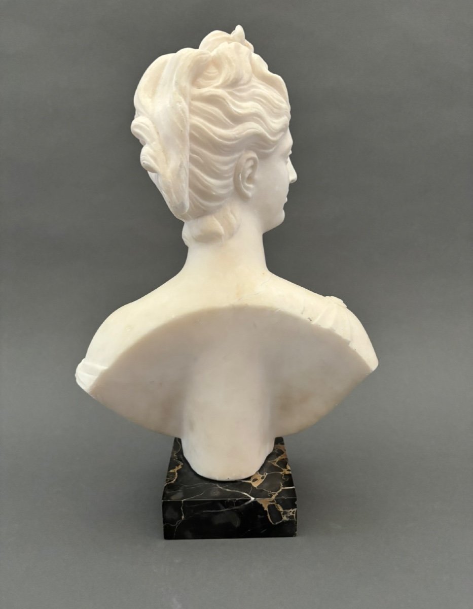      Alabaster Bust. Diana Goddess Of The Hunt. 19th Century.-photo-4