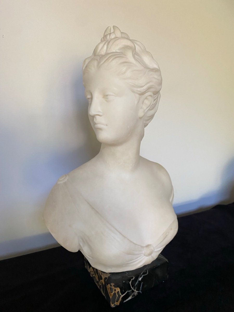 Marble Bust. Diana Goddess Of The Hunt. 19th Century.-photo-1