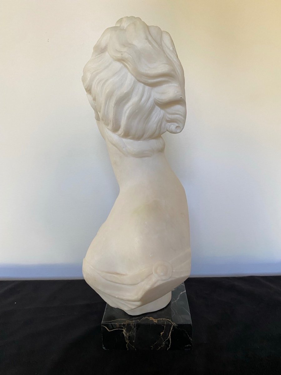 Marble Bust. Diana Goddess Of The Hunt. 19th Century.-photo-2