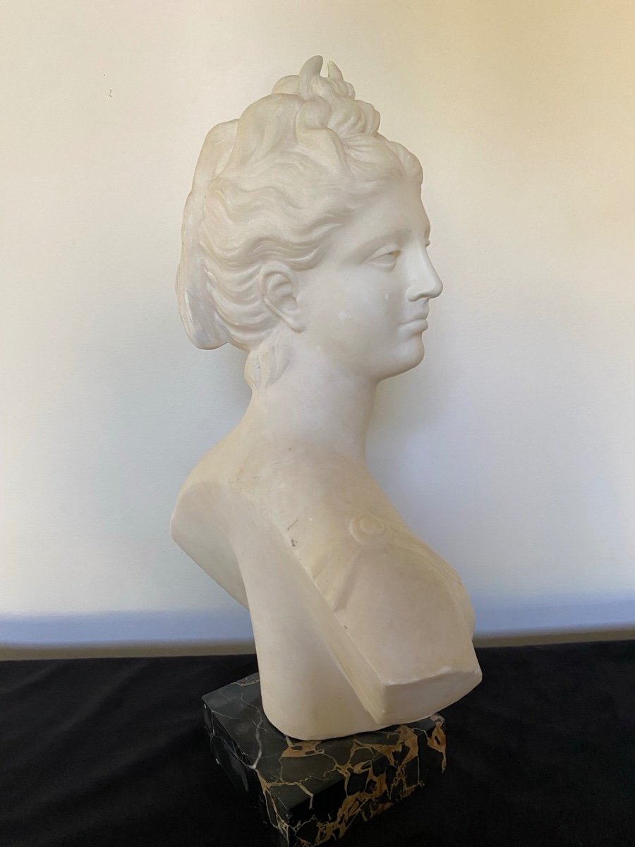 Marble Bust. Diana Goddess Of The Hunt. 19th Century.-photo-4