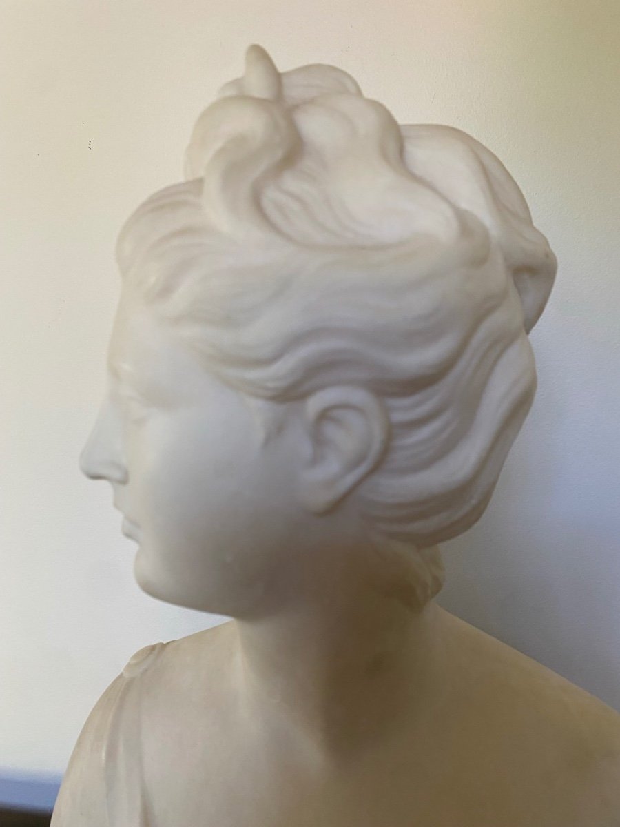 Marble Bust. Diana Goddess Of The Hunt. 19th Century.-photo-6