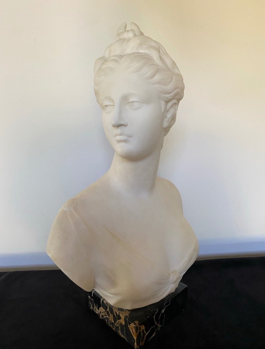 Marble Bust. Diana Goddess Of The Hunt. 19th Century.-photo-7