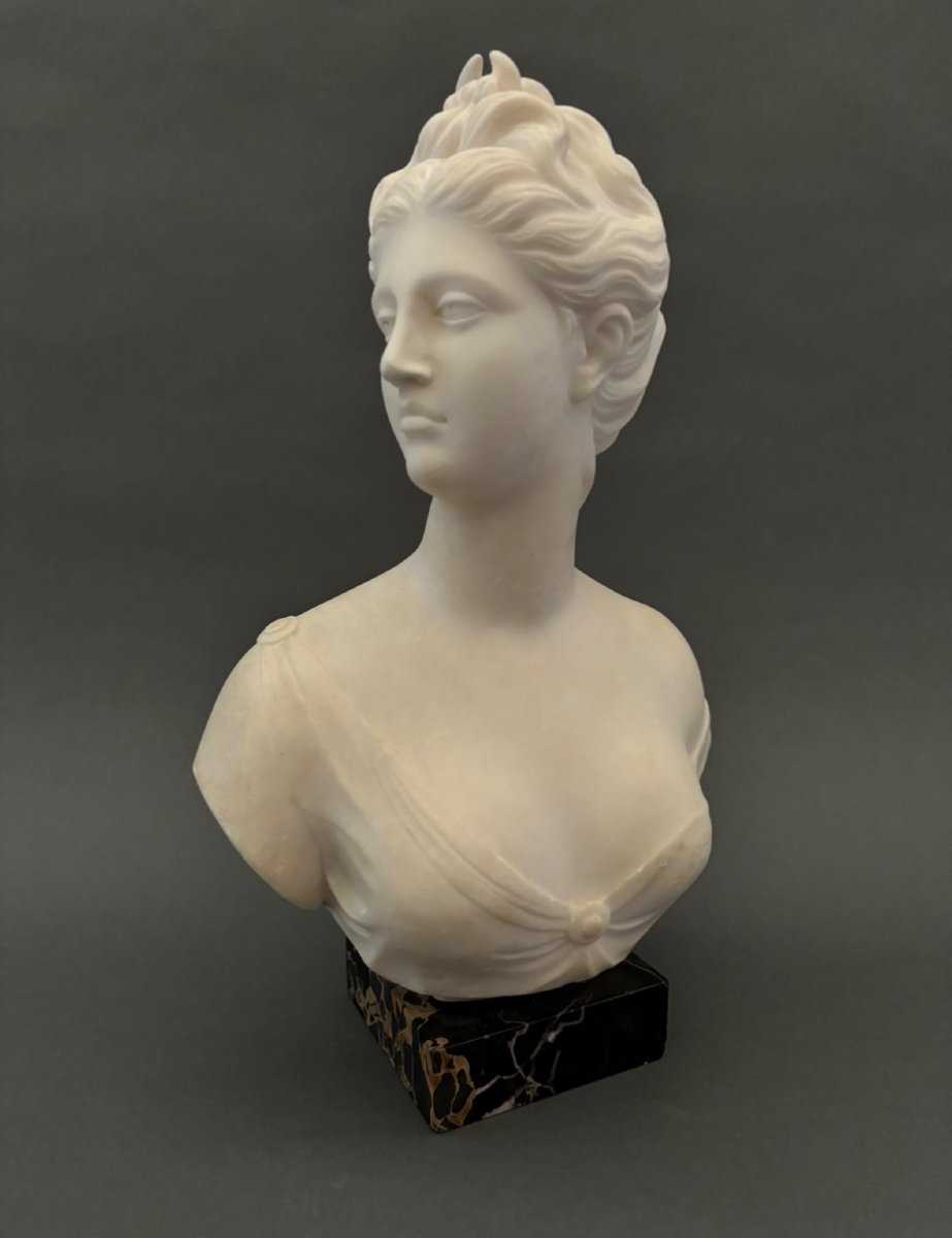      Alabaster Bust. Diana Goddess Of The Hunt. 19th Century.