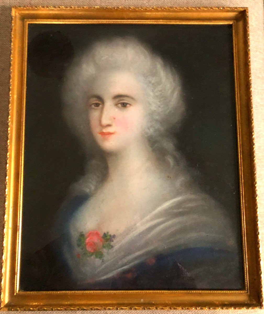 Portrait XIX de Marie Antoinette ou la Princesse de Lamballe-photo-3