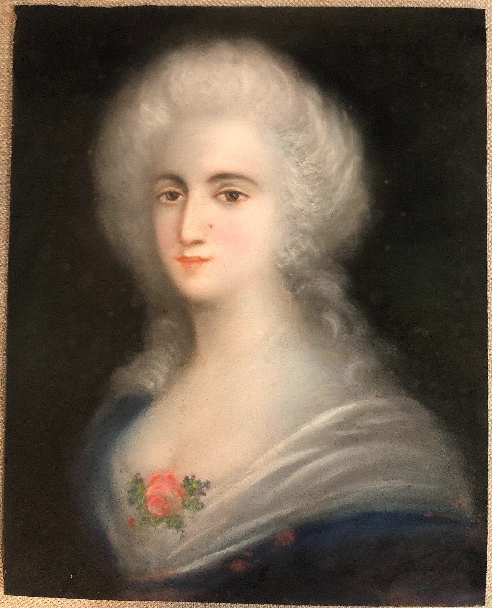 Portrait XIX de Marie Antoinette ou la Princesse de Lamballe