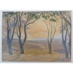 Léon Carré 1878-1942 Landscape Of Kabylia Algeria Oil On Cardboard