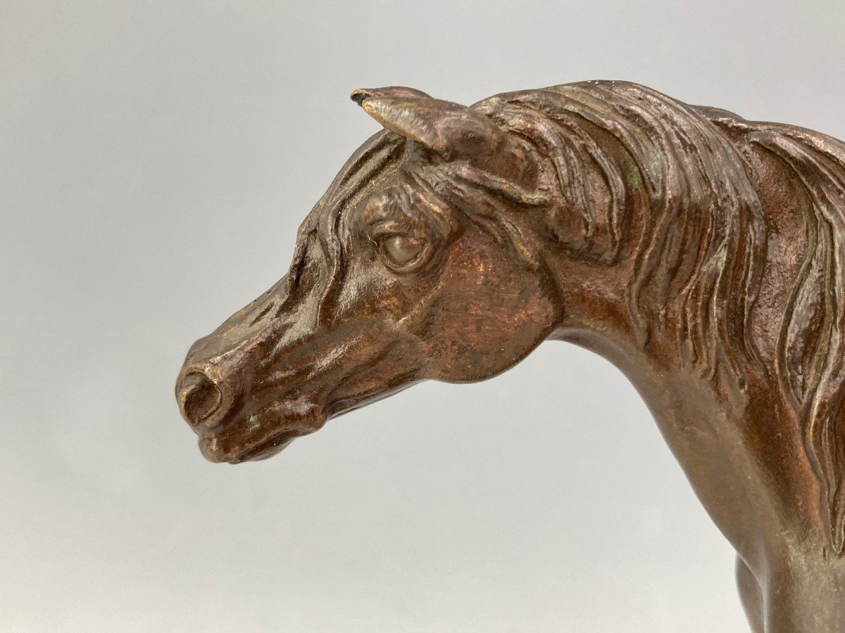 Horse - Bronze By Jules Moigniez (1835 - 1894)-photo-2