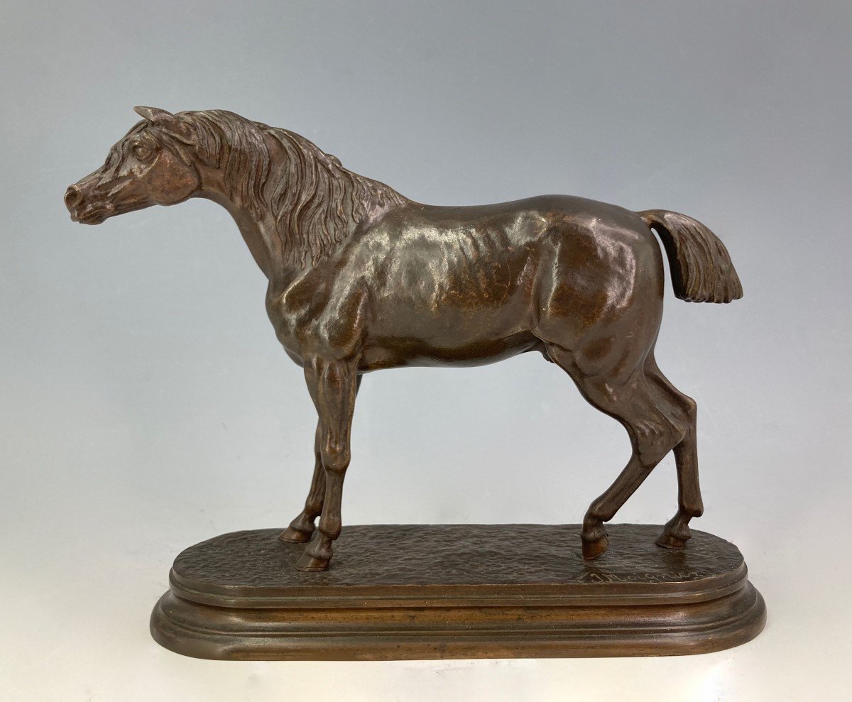 Horse - Bronze By Jules Moigniez (1835 - 1894)