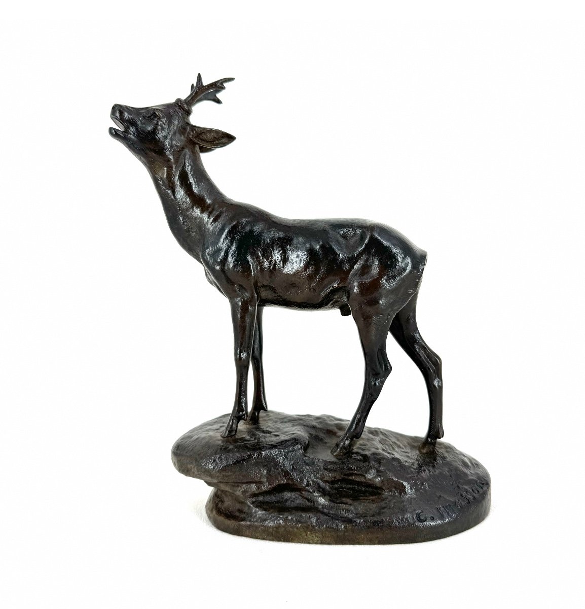 Barking Roebuck - Bronze By Clovis Edmond Masson (1838 - 1913)