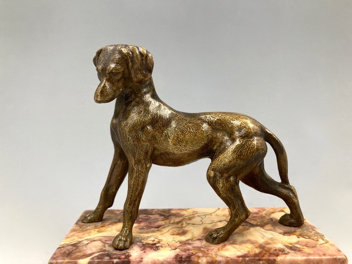 Bronze Representing A Hunting Dog, Late 19th - Early 20th Century-photo-2