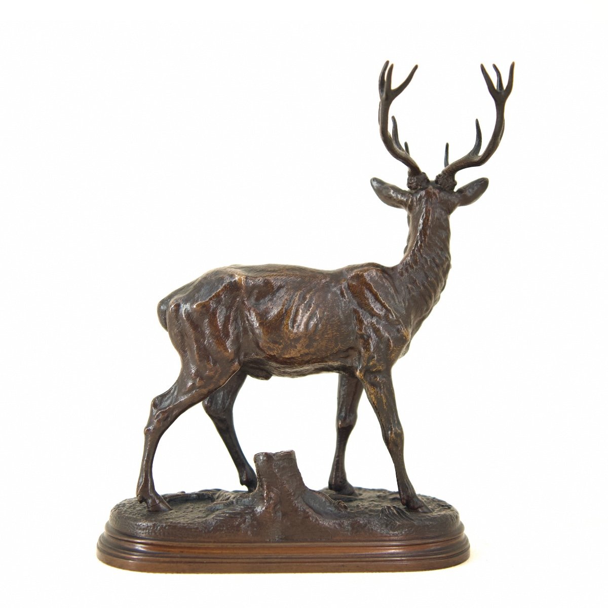 Cerf douze cors (petit modèle) - Bronze de Alfred Dubucand (1828 - 1894)-photo-3