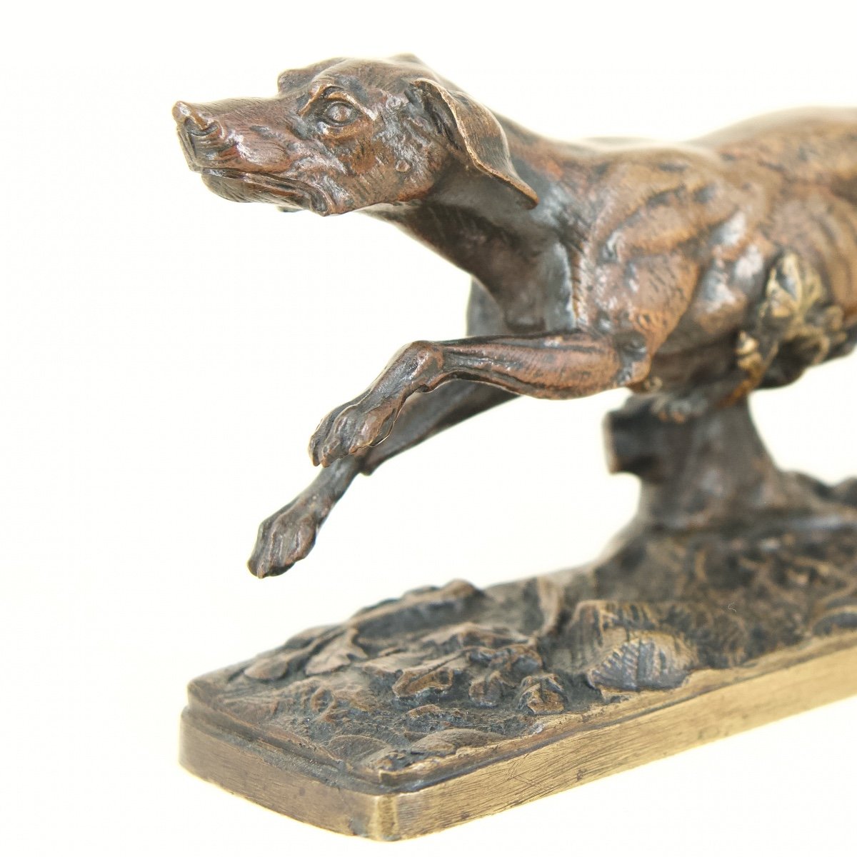 Hound - Bronze By Victor Chemin (1825 - 1901)-photo-3