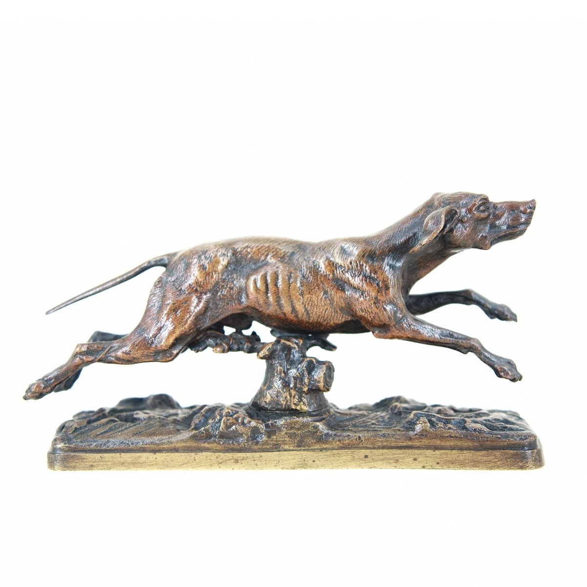 Hound - Bronze By Victor Chemin (1825 - 1901)