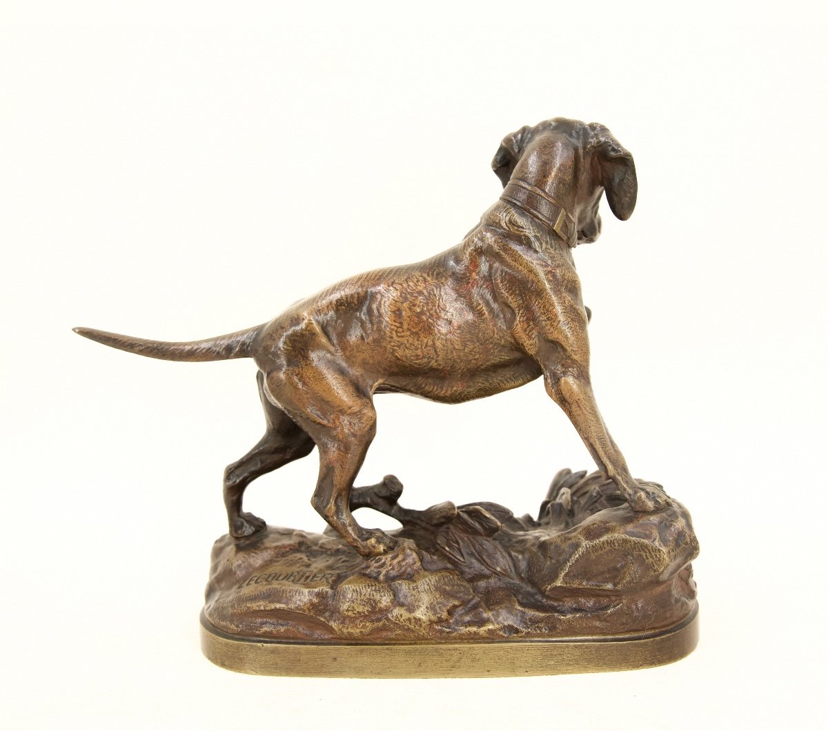 Dog Pointing A Hare - Bronze By Prosper Lecourtier (1851 - 1925)-photo-3