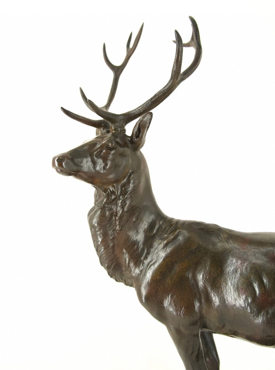 Stag On The Lookout - Bronze By Maximilien Fiot (1886 - 1953)-photo-2