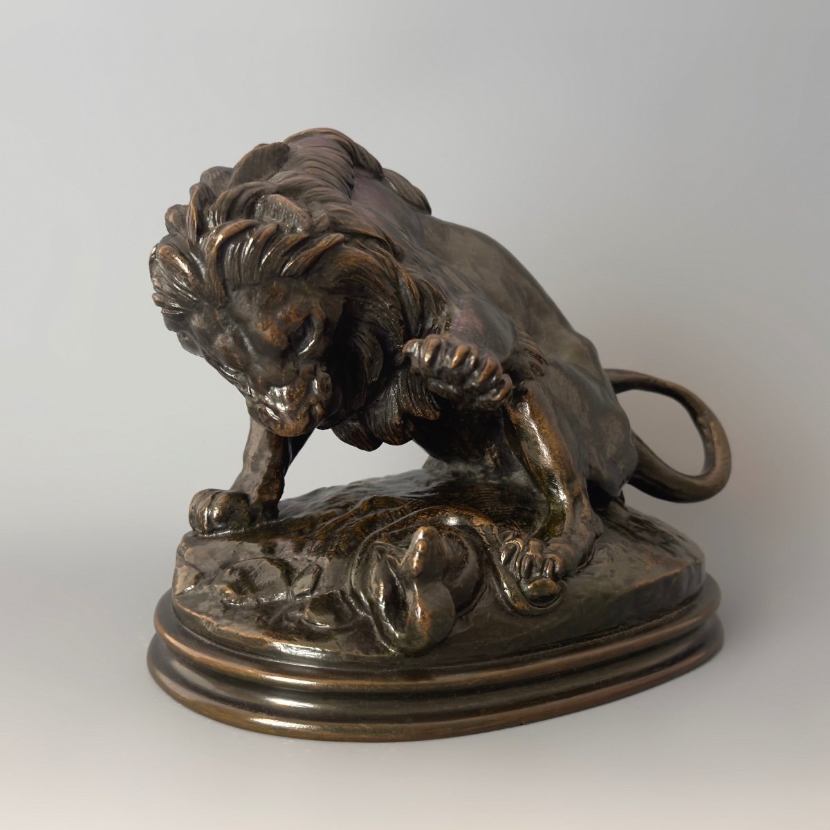 Lion With Serpent No. 3 - Bronze By Antoine-louis Barye (1795 - 1875)-photo-4