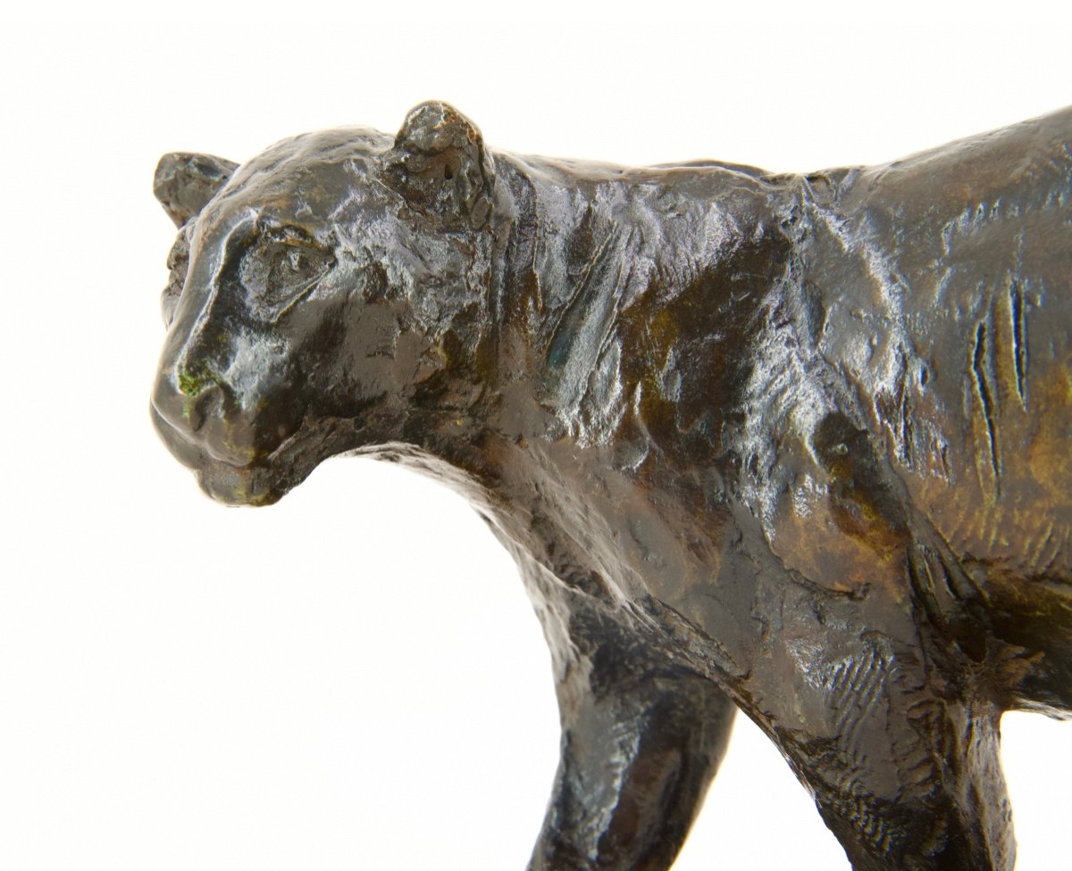 Walking Lioness - Bronze By Roger Godchaux (1878 - 1958)-photo-4