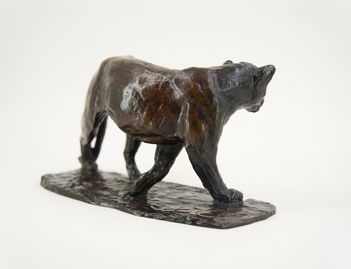 Walking Lioness - Bronze By Roger Godchaux (1878 - 1958)-photo-2